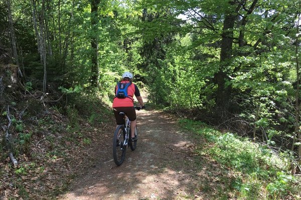 On tour durch die W�lder